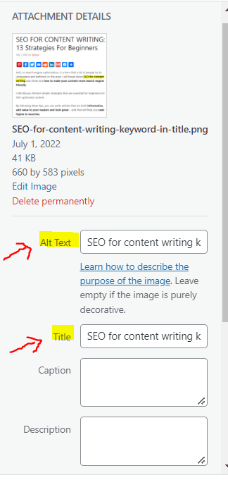 SEO for content writing ALT TAG and Title